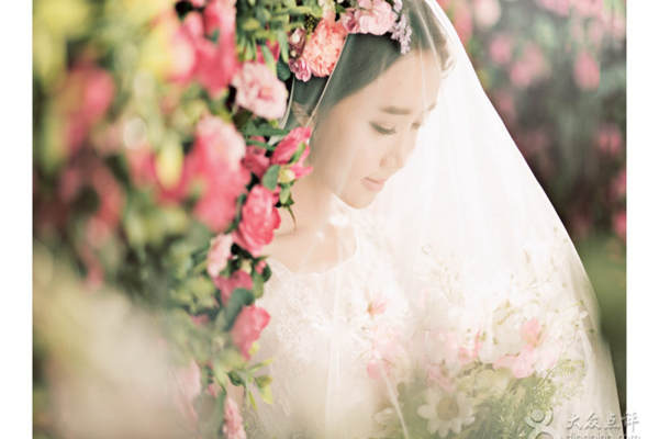 华世天诚婚纱摄影花海案例
