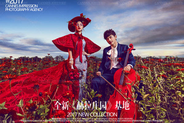 戛纳印象摄影花海案例