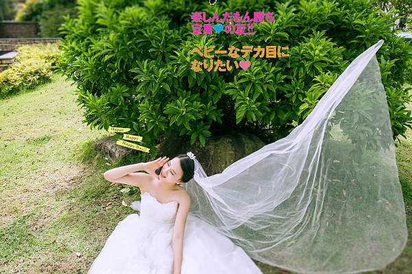 个性套系