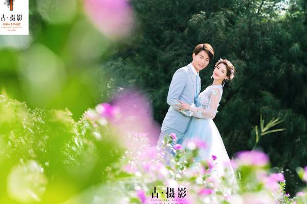 古摄影婚纱花海案例
