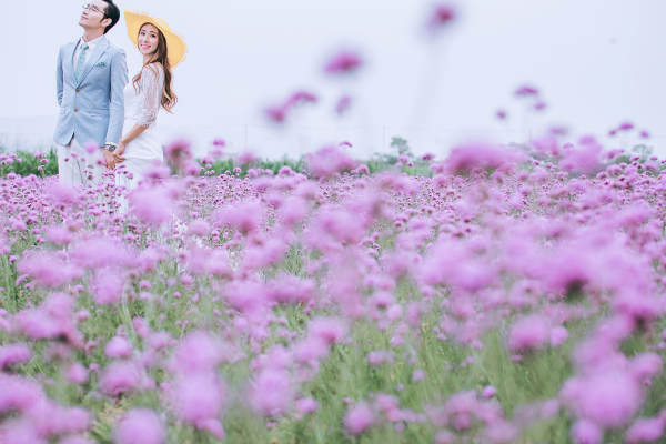 伊薇高端婚纱摄影花海案例