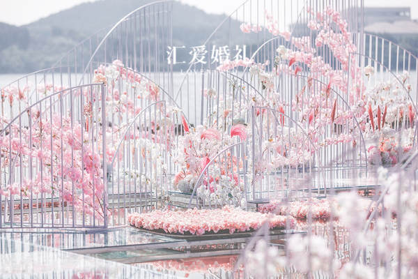 汇爱粉案例