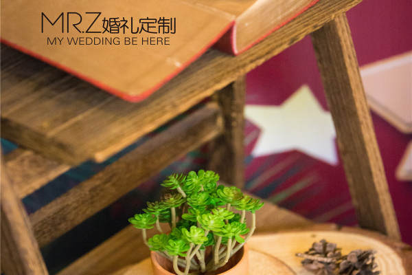 MR.Z婚礼策划美式爵士案例