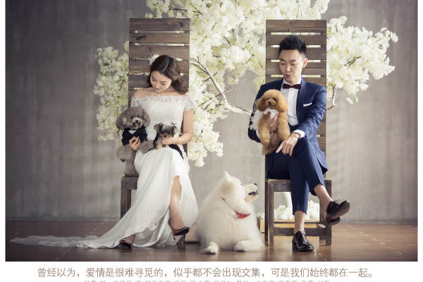 蒙娜丽莎内景案例