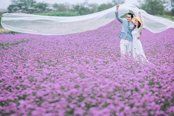 尊荣龙花海案例
