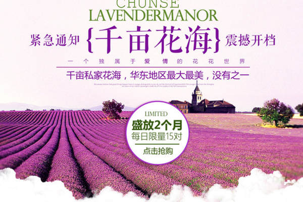 纯色婚纱摄影套系