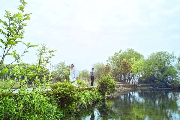 三花岛套系