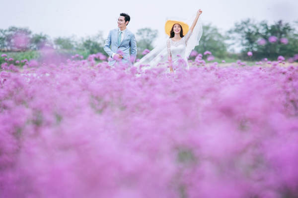 花海套系