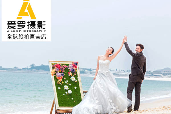 爱罗欧美案例