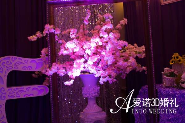 爱诺D婚礼定制粉白案例