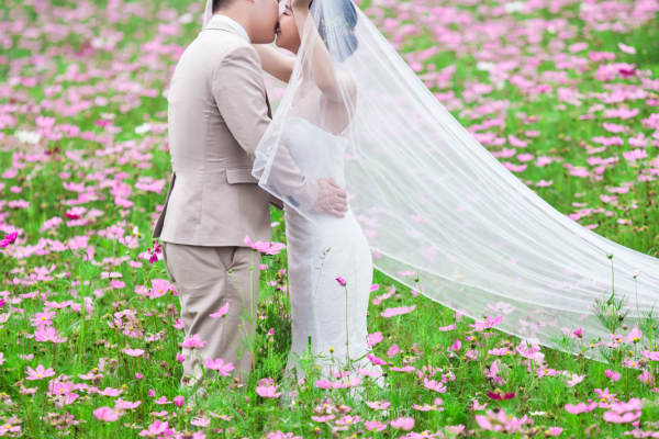 印象花海案例