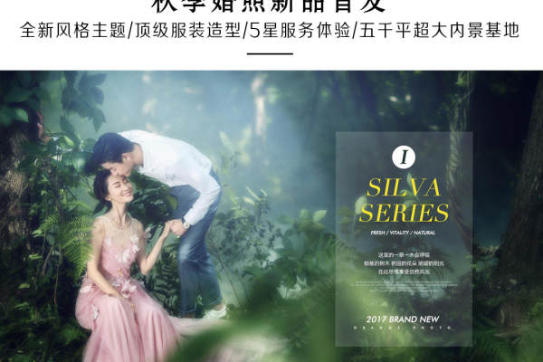 王东升婚纱摄影套系