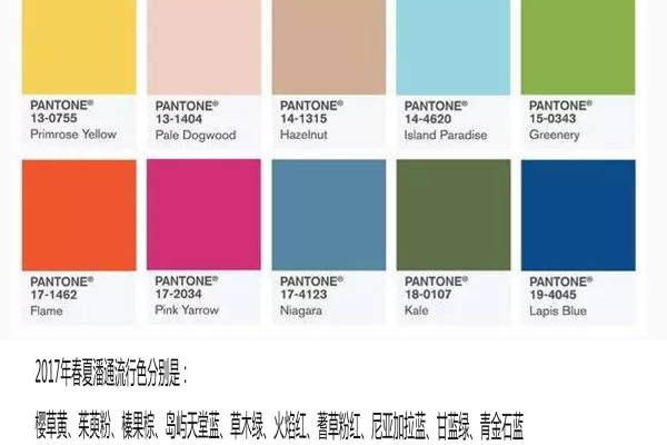 金禧婚礼流行色案例