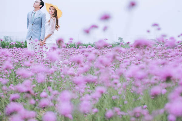 薇薇新娘婚纱摄影小清新案例