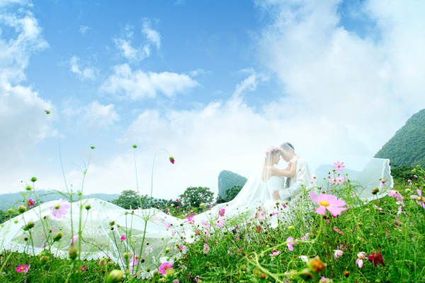韩风尚摄影花场青狮潭案例
