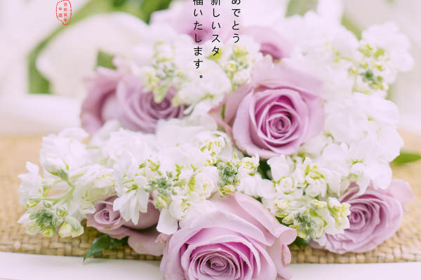 浩信百年婚纱摄影城市地标案例