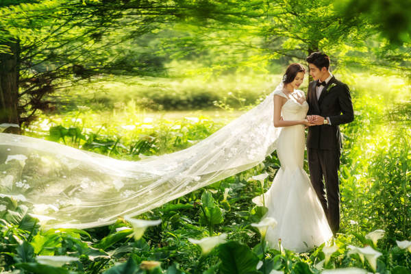 巴黎心情国际婚纱摄影花海案例