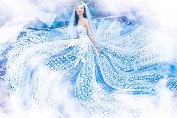 艺术婚纱影楼花海案例