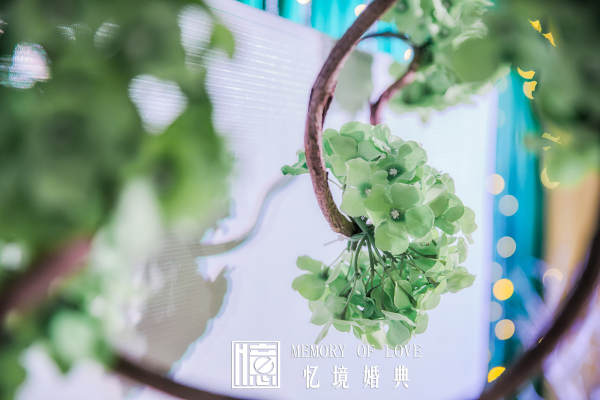 忆境婚典小清新案例