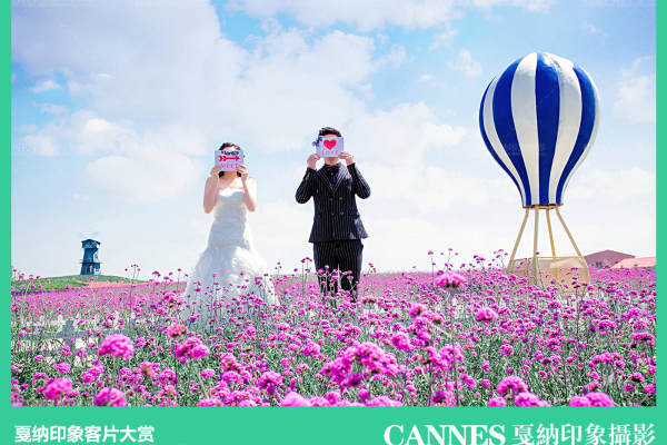 戛纳印象摄影花海案例