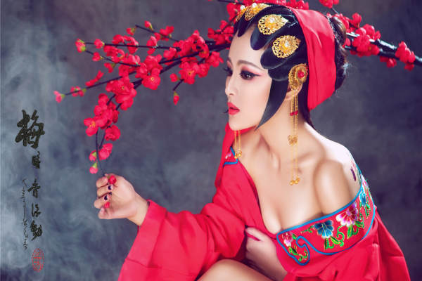 其他案例