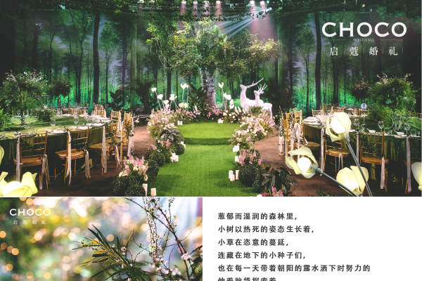 CHOCO-启蔻婚礼绿案例