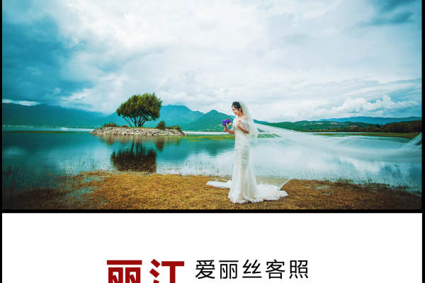 爱丽丝婚纱摄影花海案例