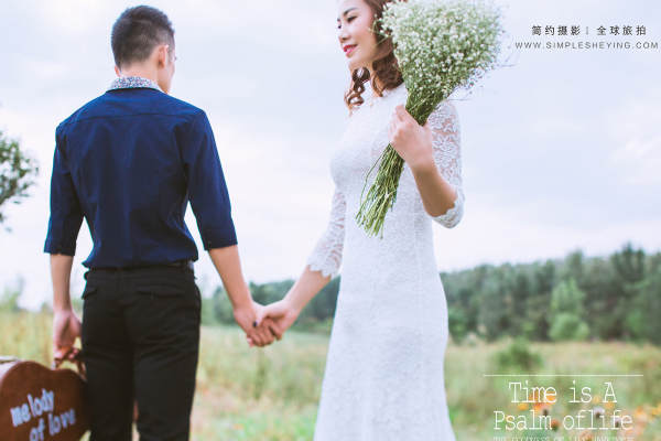 简约摄影花海案例