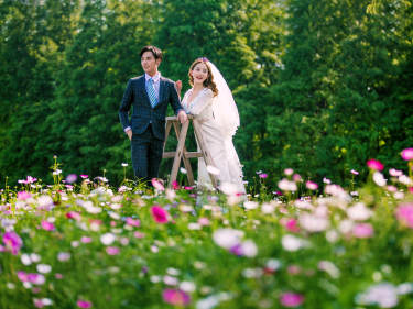 爱慕AMSTUDIO花海案例