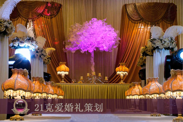 克爱咖啡色案例