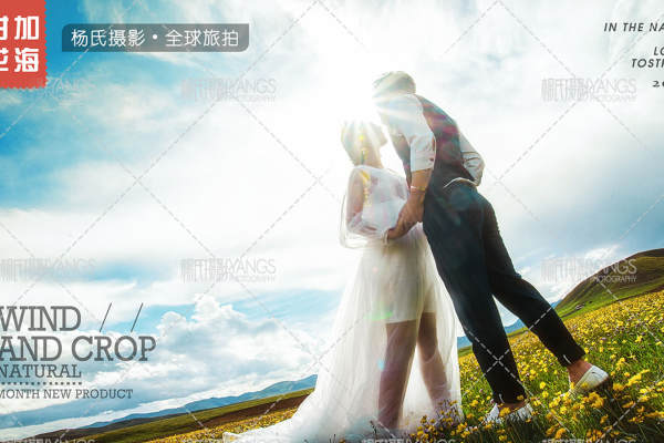 杨氏婚纱摄影时尚案例