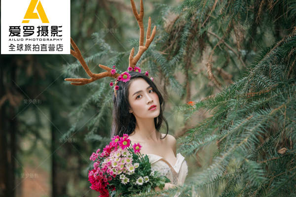 爱罗森系案例