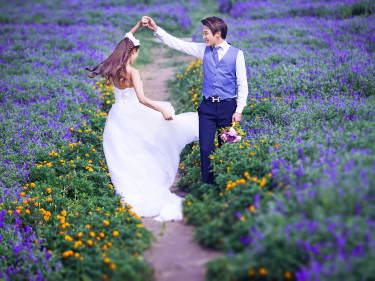 戛纳国际婚纱摄影花海案例