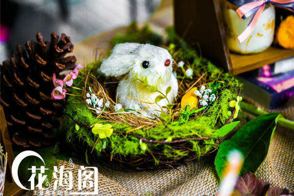 石家庄花海阁公司黄案例