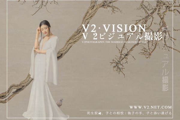 V视觉套系