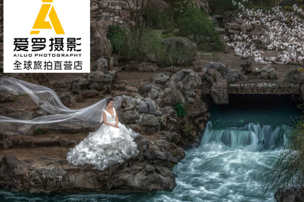爱罗个性案例