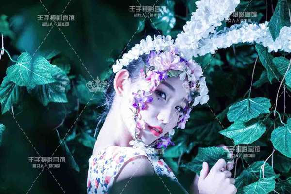 王子摄影宫馆套系
