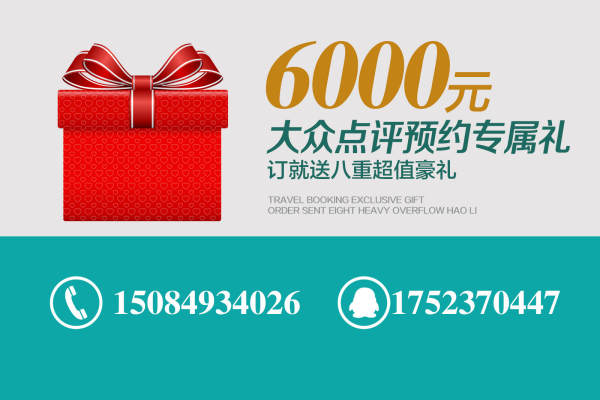 蝴蝶树婚纱店小清新案例