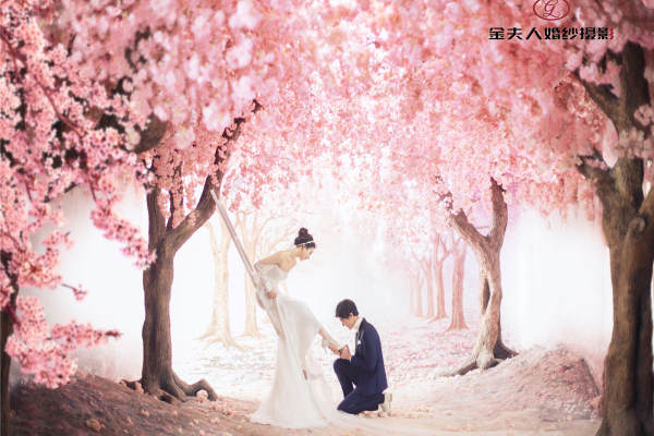 金夫人婚纱摄影个性案例