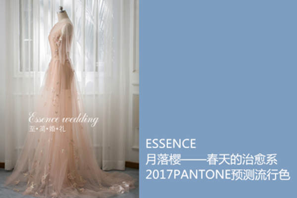 至简婚礼套系