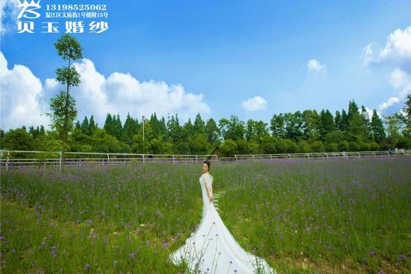 温江贝玉婚庆礼仪公司特色客片