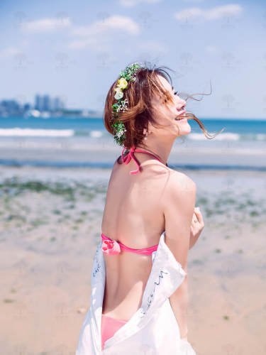 海景案例