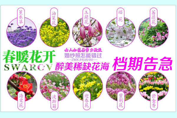 施华洛高端摄影会所复古案例