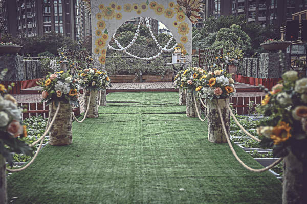 沐浴阳光婚礼草坪婚礼案例