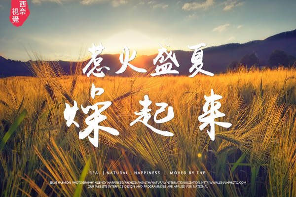 西奈视觉复古案例