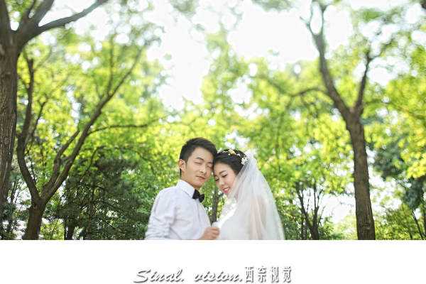 西奈视觉花海案例