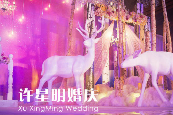许星明婚庆套系