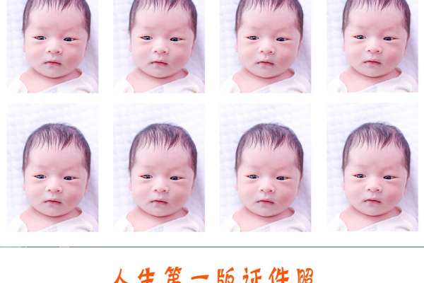 【证件照】·1套服装·1张精修