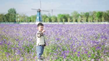 【生日照】·3个主题·3套服装·18张精修·拍摄120分钟