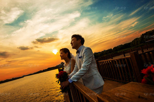 TP视觉花海案例